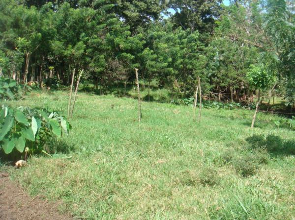 0 bed Land For Sale in Santa Ana, San Jose - thumb 2