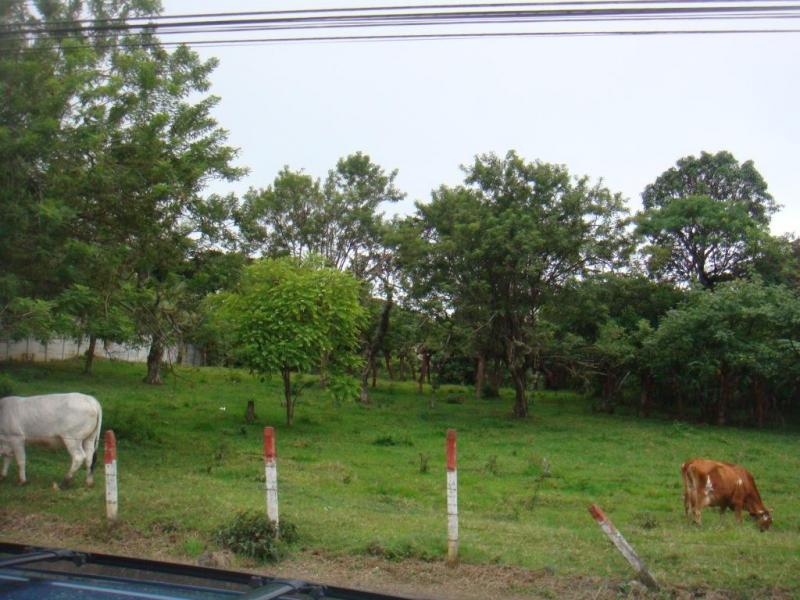 0 bed Land For Sale in Santa Ana, San Jose - thumb 4