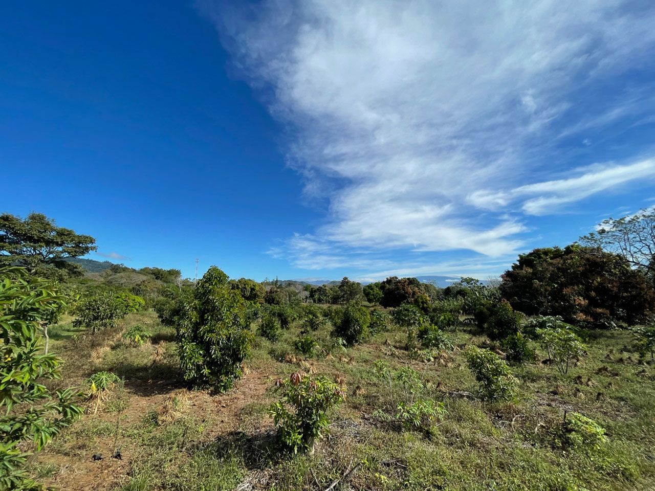 0 bed Land For Sale in Atenas, Alajuela - thumb 7