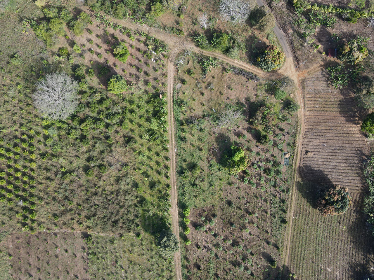 0 bed Land For Sale in Atenas, Alajuela - thumb 9