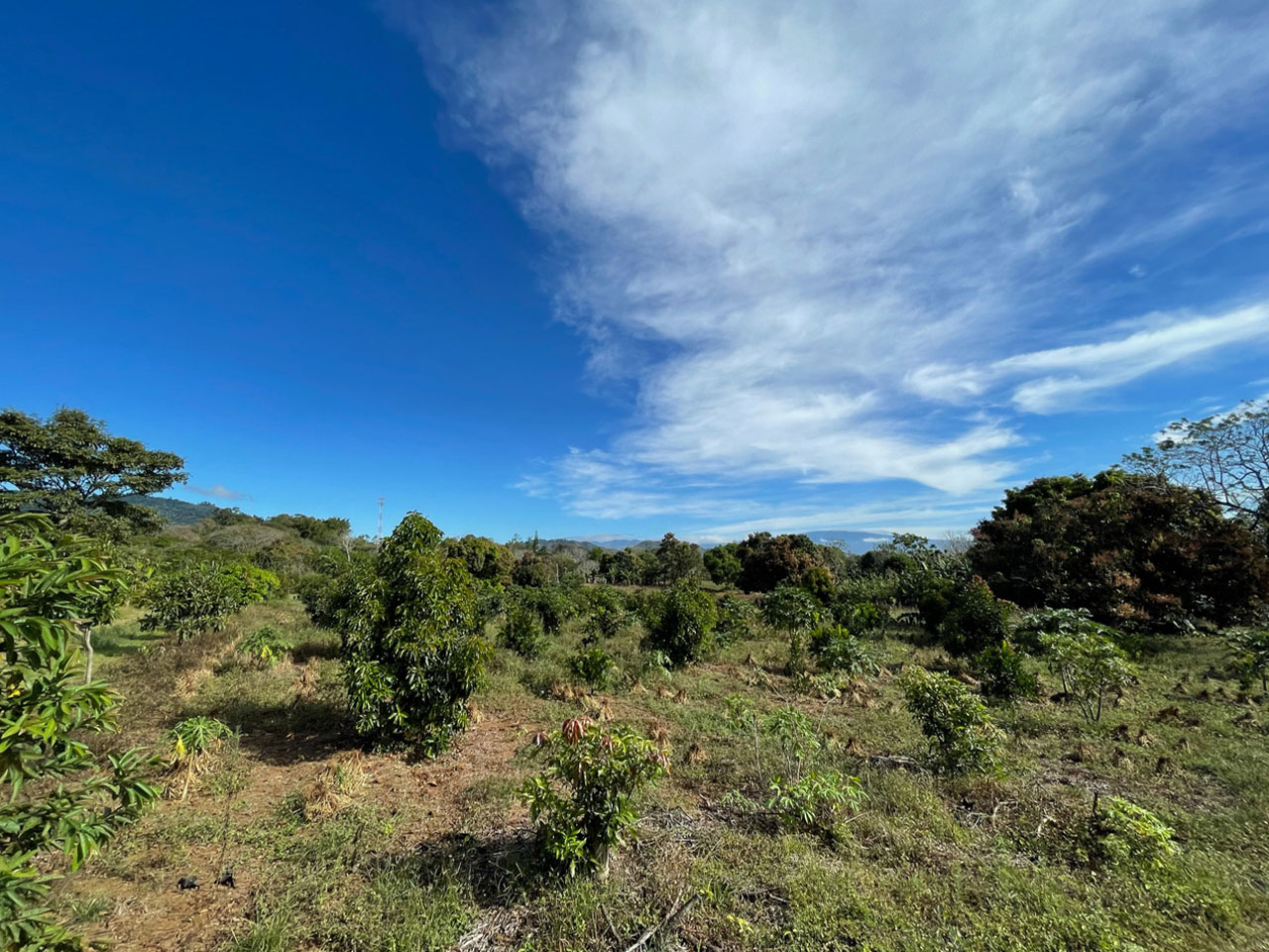 0 bed Land For Sale in Atenas, Alajuela - thumb 6