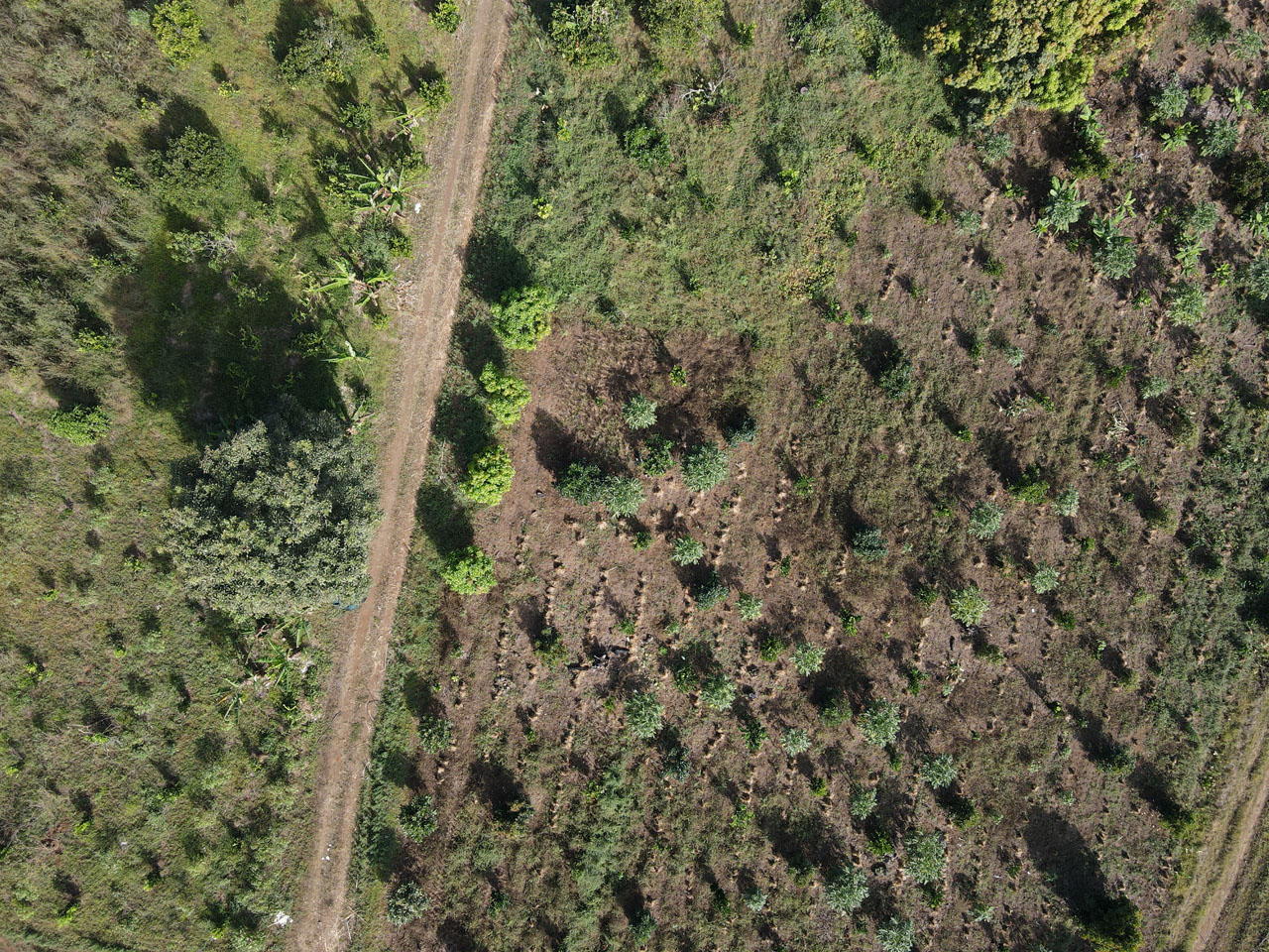 0 bed Land For Sale in Atenas, Alajuela - thumb 12