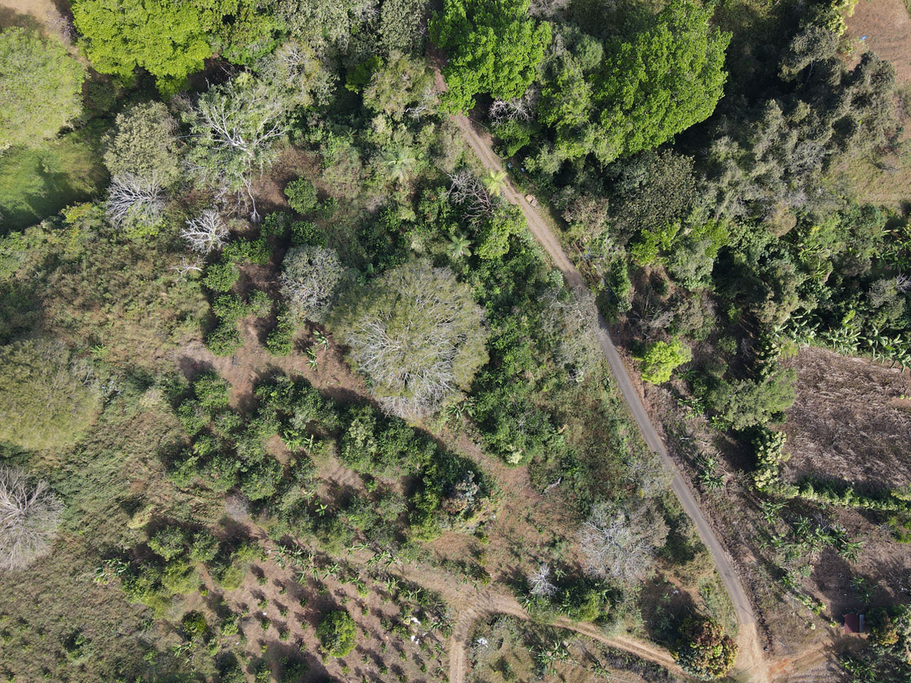 0 bed Land For Sale in Atenas, Alajuela - thumb 11