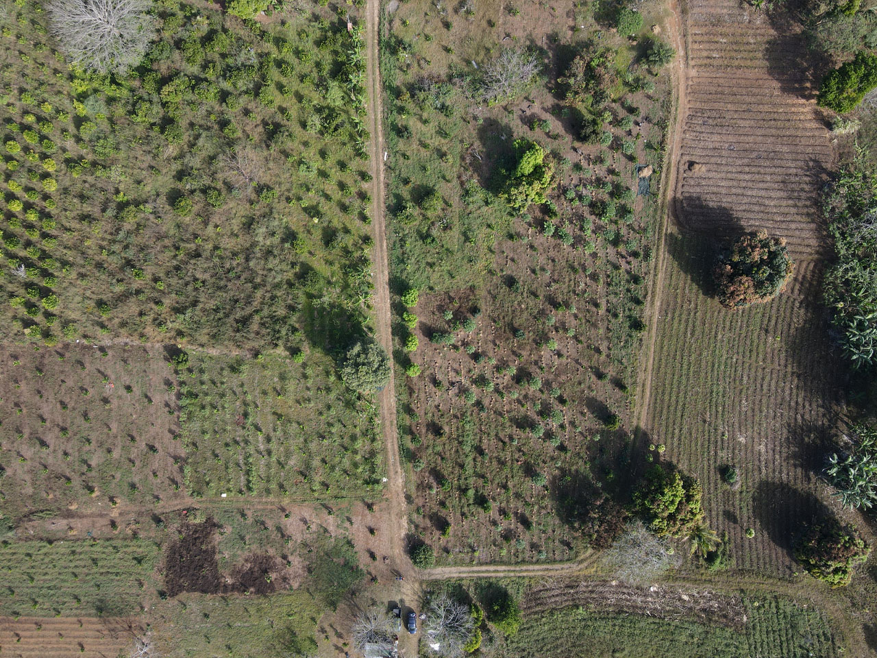 0 bed Land For Sale in Atenas, Alajuela - thumb 8