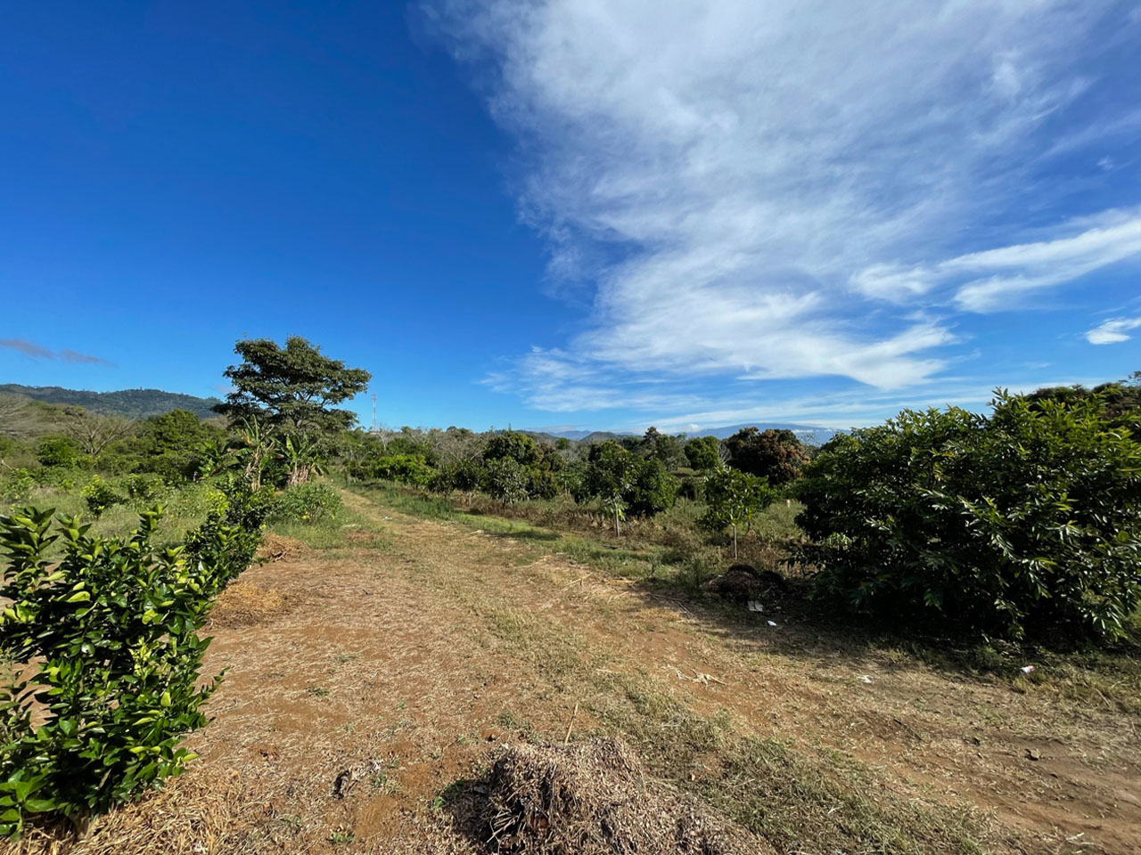 0 bed Land For Sale in Atenas, Alajuela - thumb 3