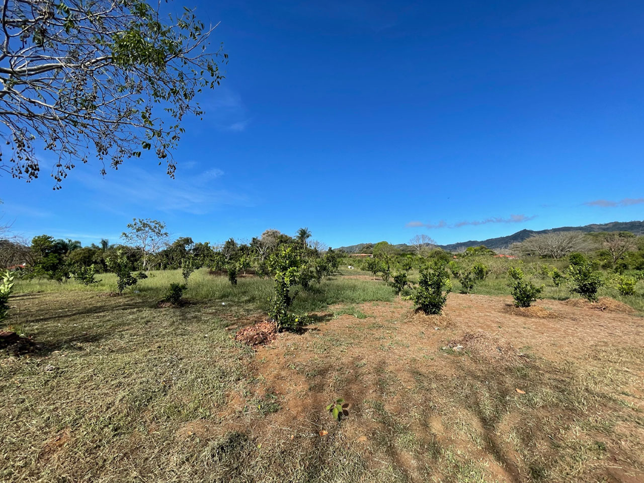 0 bed Land For Sale in Atenas, Alajuela - thumb 4