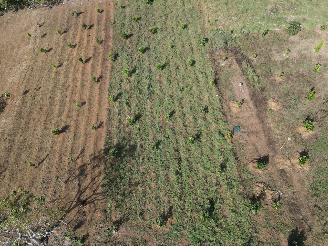 0 bed Land For Sale in Atenas, Alajuela - thumb 1