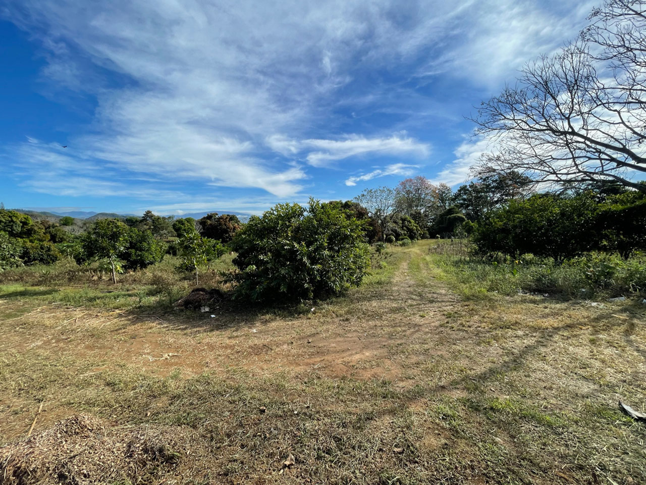 0 bed Land For Sale in Atenas, Alajuela - thumb 5