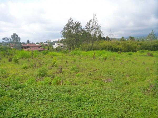 0 bed Land For Sale in Curridabat, San Jose - thumb 12