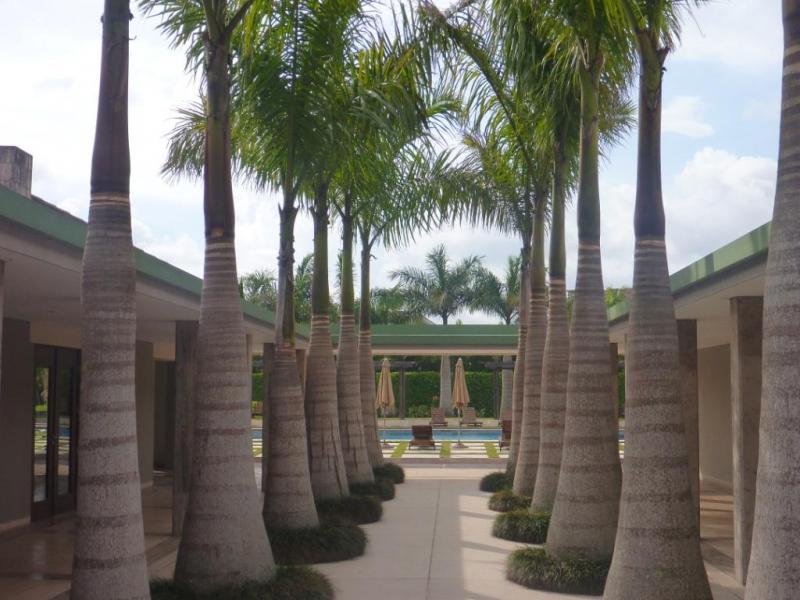 0 bed Land For Sale in Curridabat, San Jose - thumb 11