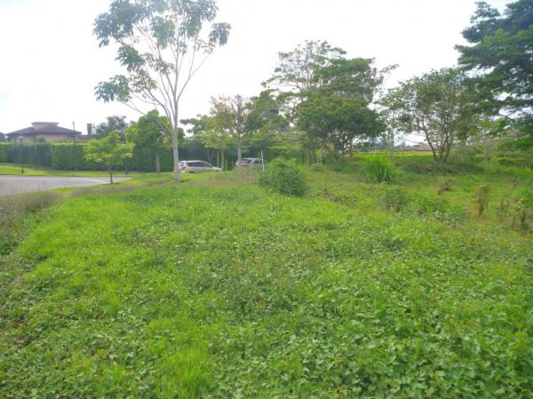 0 bed Land For Sale in Curridabat, San Jose - thumb 16