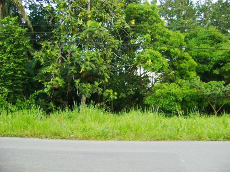 0 bed Land For Sale in Alajuela, Alajuela - 1