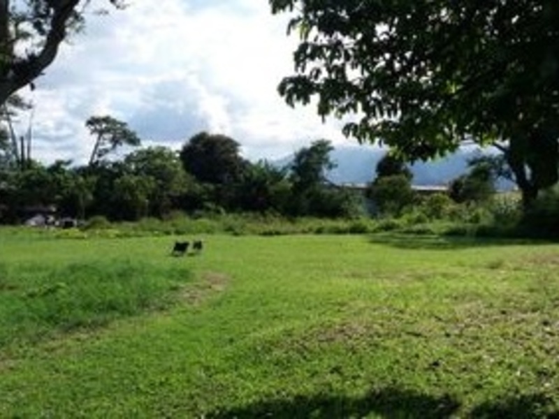 0 bed Land For Sale in Tibas, San Jose - 1
