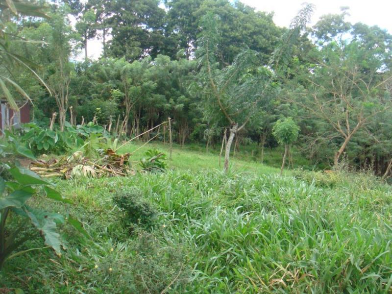 0 bed Land For Sale in Santa Ana, San Jose - thumb 1