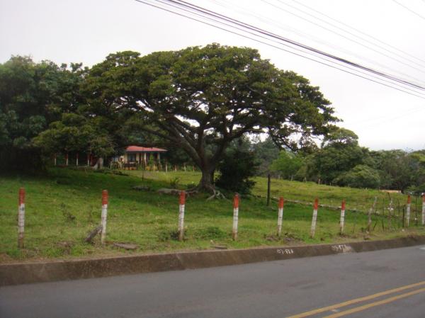 0 bed Land For Sale in Santa Ana, San Jose - thumb 3