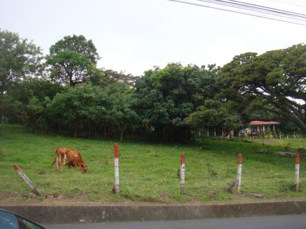 0 bed Land For Sale in Santa Ana, San Jose - thumb 5