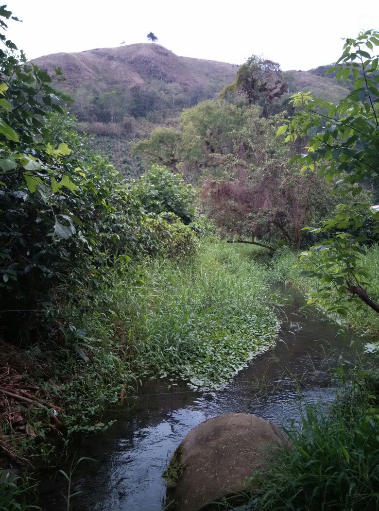 0 bed Land For Sale in Paraíso, Cartago - thumb 3