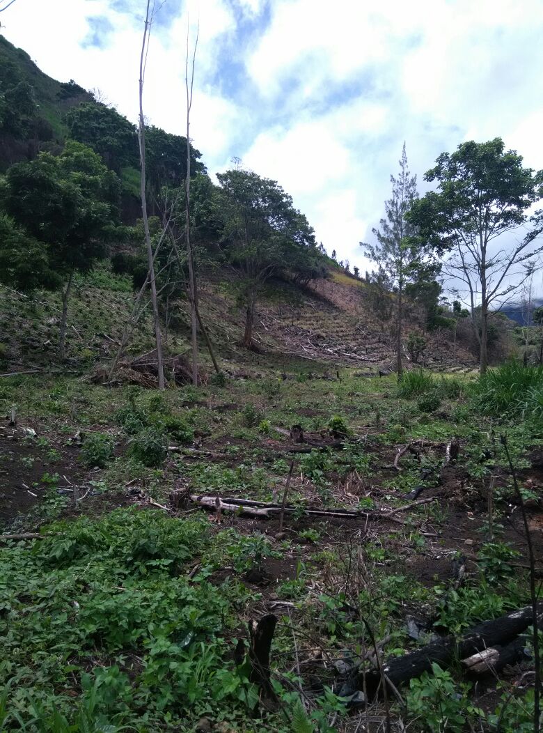 0 bed Land For Sale in Paraíso, Cartago - thumb 4