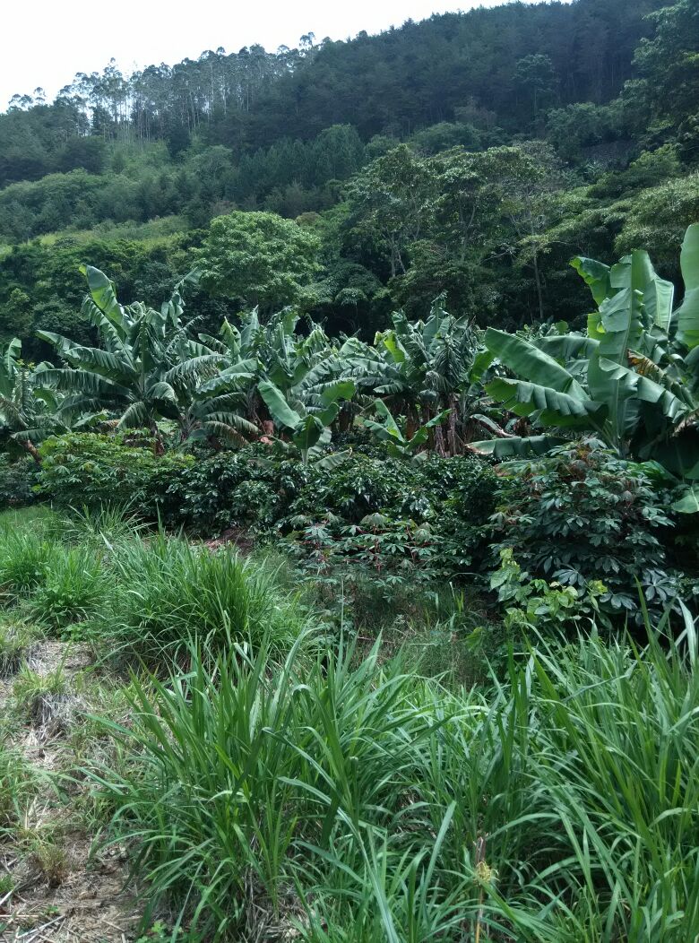 0 bed Land For Sale in Paraíso, Cartago - thumb 9