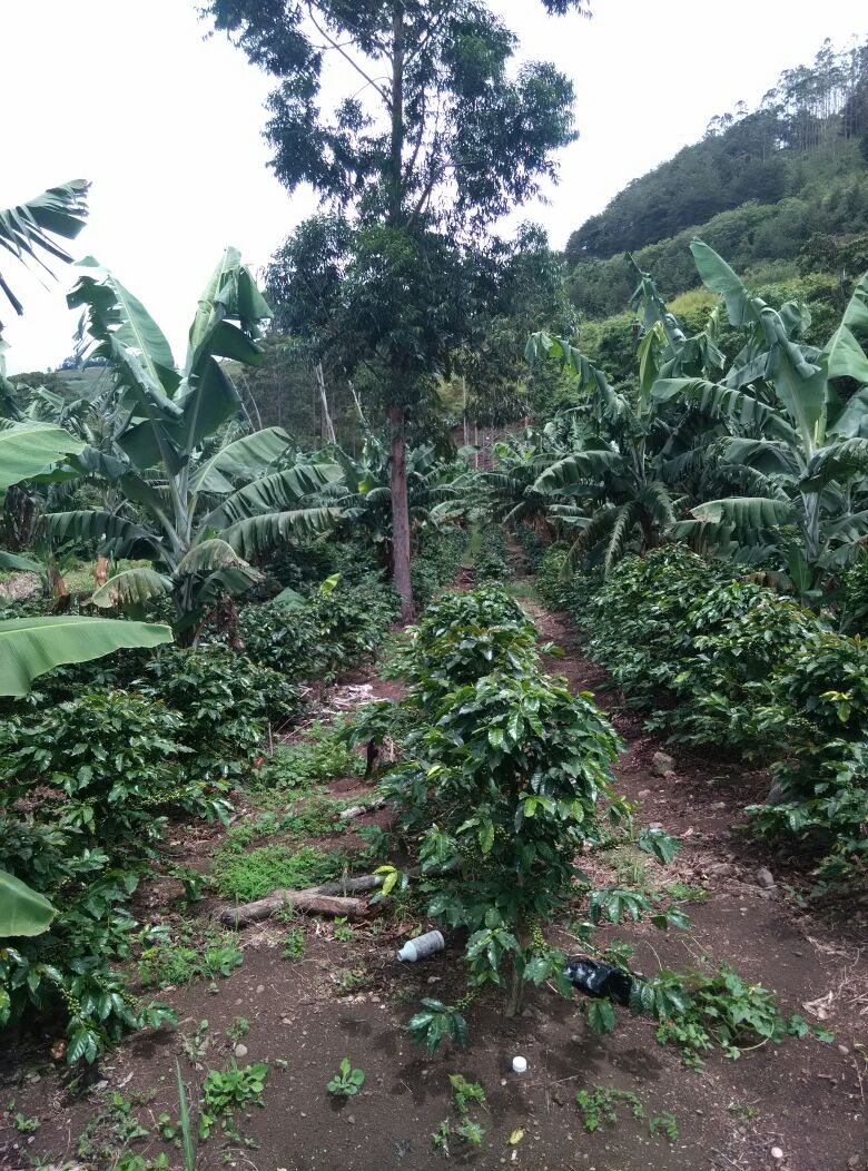 0 bed Land For Sale in Paraíso, Cartago - thumb 10
