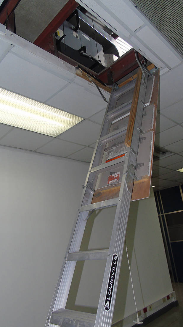 25 bed Commercial For Rent in San Jose, San Jose - thumb 8