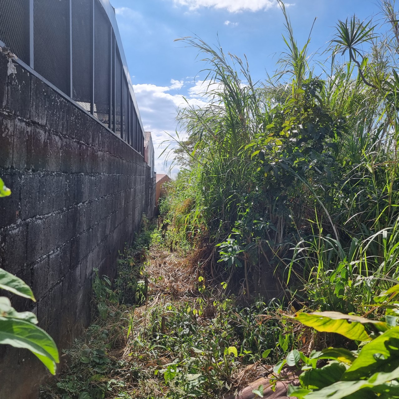 0 bed Land For Sale in Heredia, Heredia - thumb 4