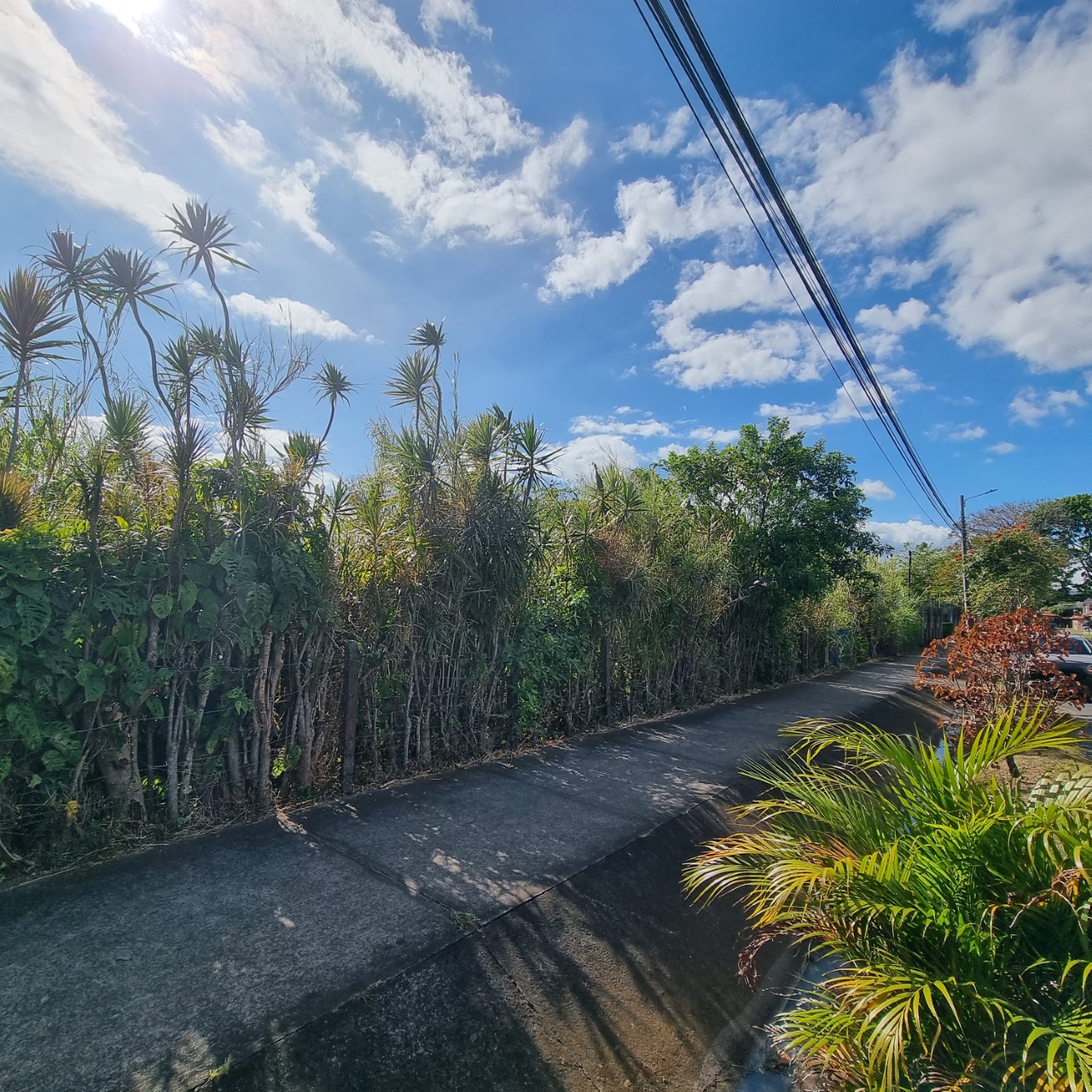 0 bed Land For Sale in Heredia, Heredia - thumb 3