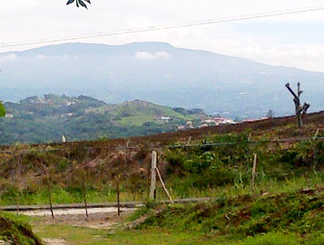 0 bed Land For Sale in Santa Ana, San Jose - thumb 4