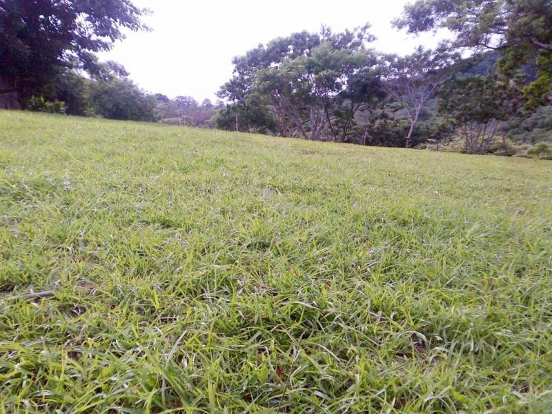 0 bed Land For Sale in Santa Ana, San Jose - thumb 2