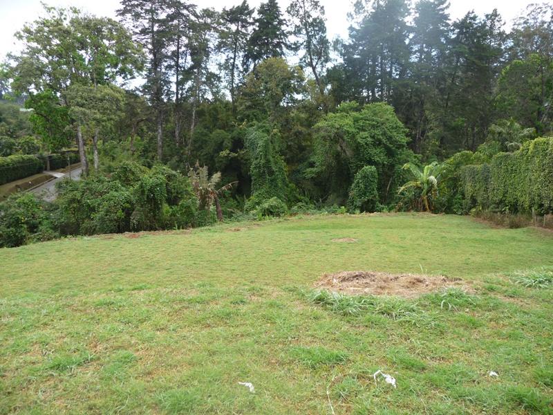 0 bed Land For Sale in San Ramón, Cartago - thumb 6