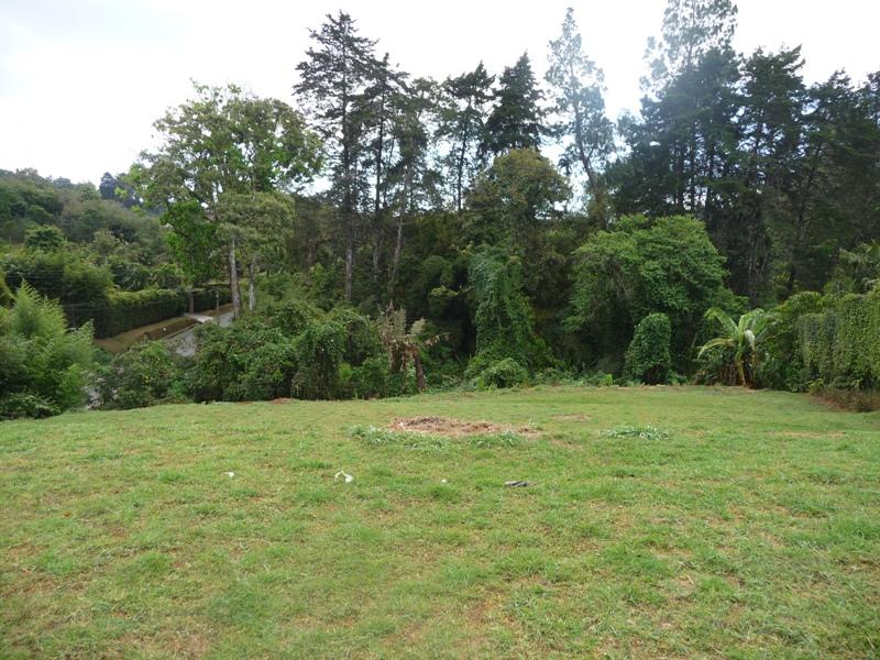 0 bed Land For Sale in San Ramón, Cartago - thumb 7