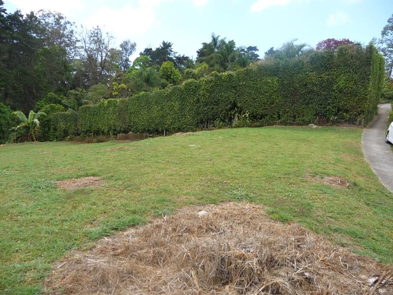 0 bed Land For Sale in San Ramón, Cartago - thumb 8