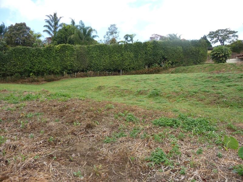 0 bed Land For Sale in San Ramón, Cartago - thumb 5