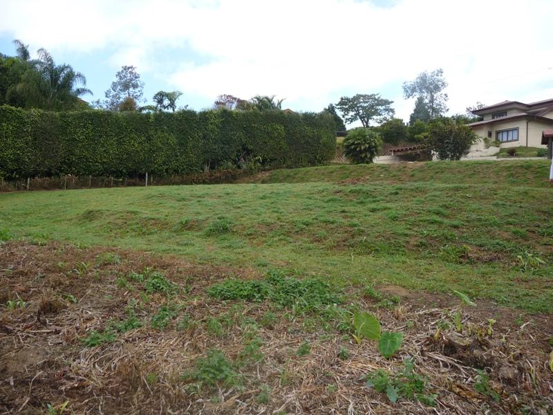 0 bed Land For Sale in San Ramón, Cartago - thumb 1
