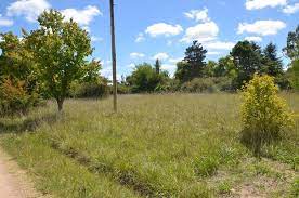 0 bed Land For Sale in Tibas, San Jose - thumb 2