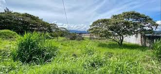 0 bed Land For Sale in Tibas, San Jose - thumb 3