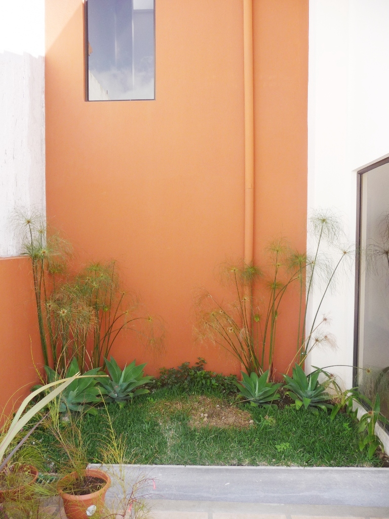 4 bed Single Family Homes For Sale in Curridabat, San Jose - thumb 19