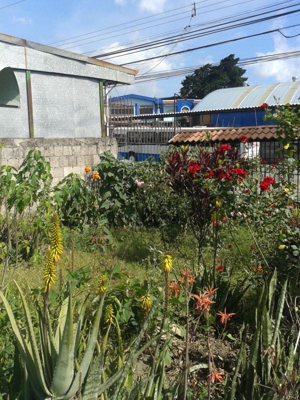 0 bed Land For Sale in Guadalupe, San Jose - thumb 5