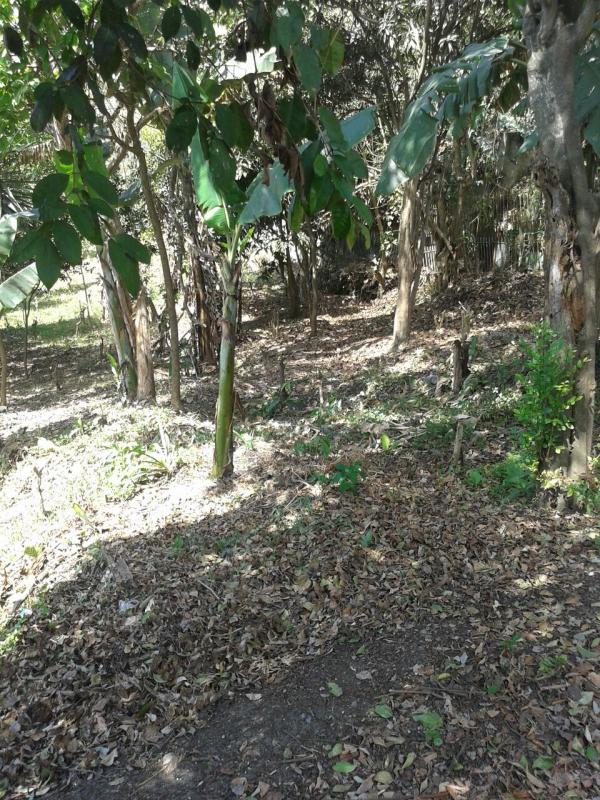 0 bed Land For Sale in Guadalupe, San Jose - thumb 3