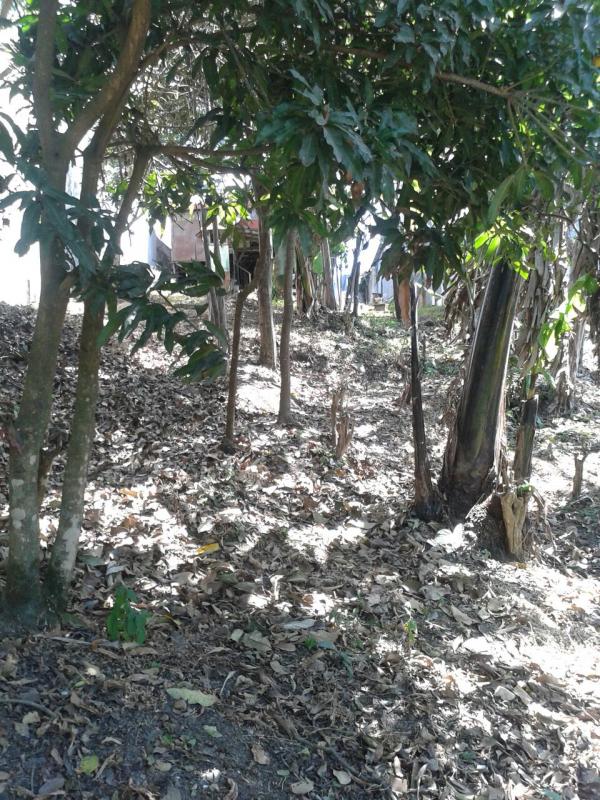 0 bed Land For Sale in Guadalupe, San Jose - thumb 7