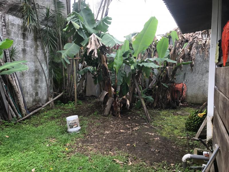 12 bed Land For Sale in Guadalupe, San Jose - thumb 13