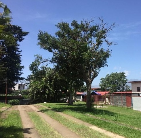 0 bed Land For Sale in Tibas, San Jose - thumb 1