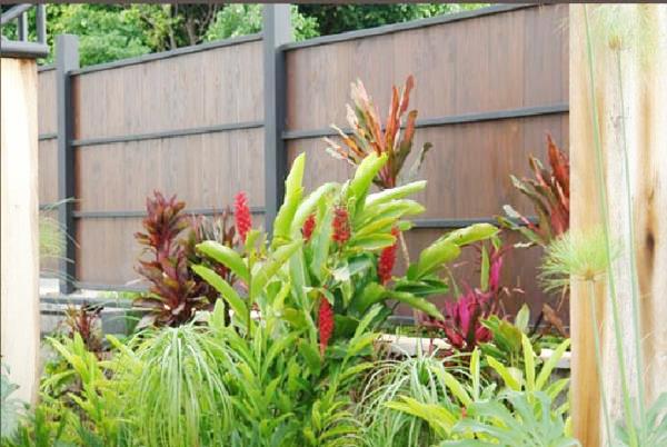 47 bed Hotel / Leisure For Sale in Santa Ana, San Jose - thumb 9