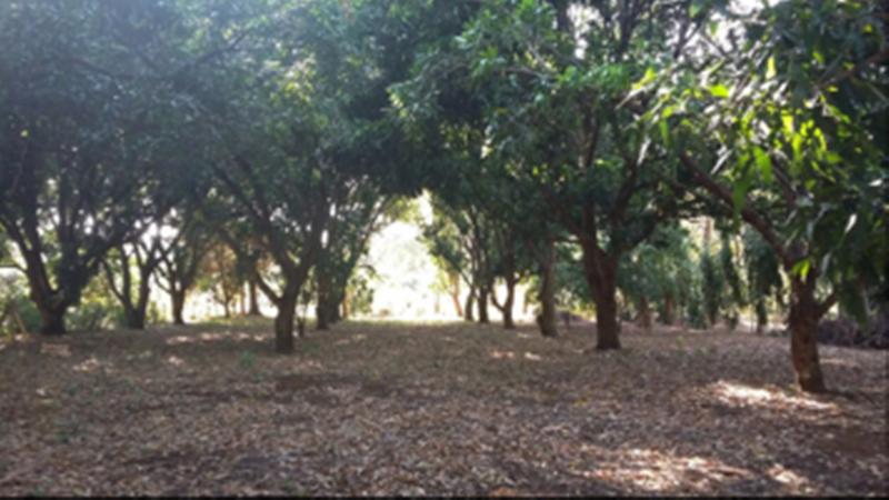 0 bed Land For Sale in Orotina, Alajuela - thumb 5