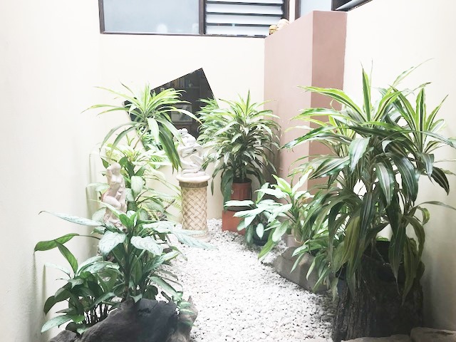 3 bed Single Family Homes For Sale in Montes de Oca, San Jose - thumb 4