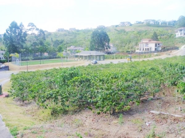 0 bed Land For Sale in Curridabat, San Jose - thumb 1