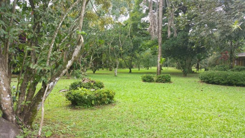 2 bed Single Family Homes For Sale in San Ramon, Alajuela - thumb 10