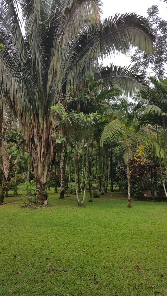 2 bed Single Family Homes For Sale in San Ramon, Alajuela - thumb 12