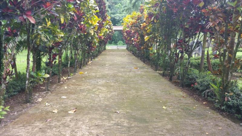 2 bed Single Family Homes For Sale in San Ramon, Alajuela - thumb 13