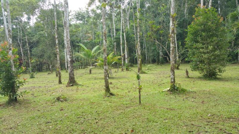 2 bed Single Family Homes For Sale in San Ramon, Alajuela - thumb 15